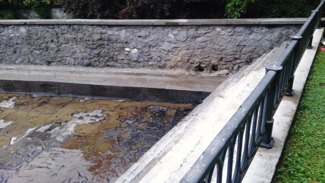 Processed with MaxCurve