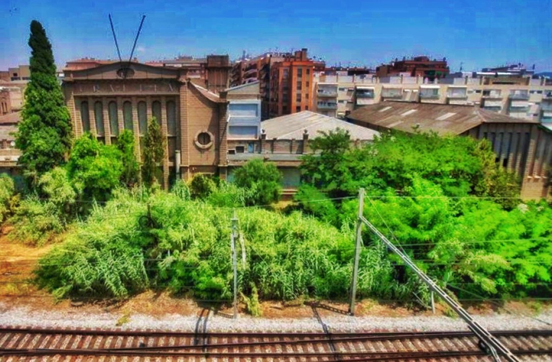 FullSizeRender (4).jpg